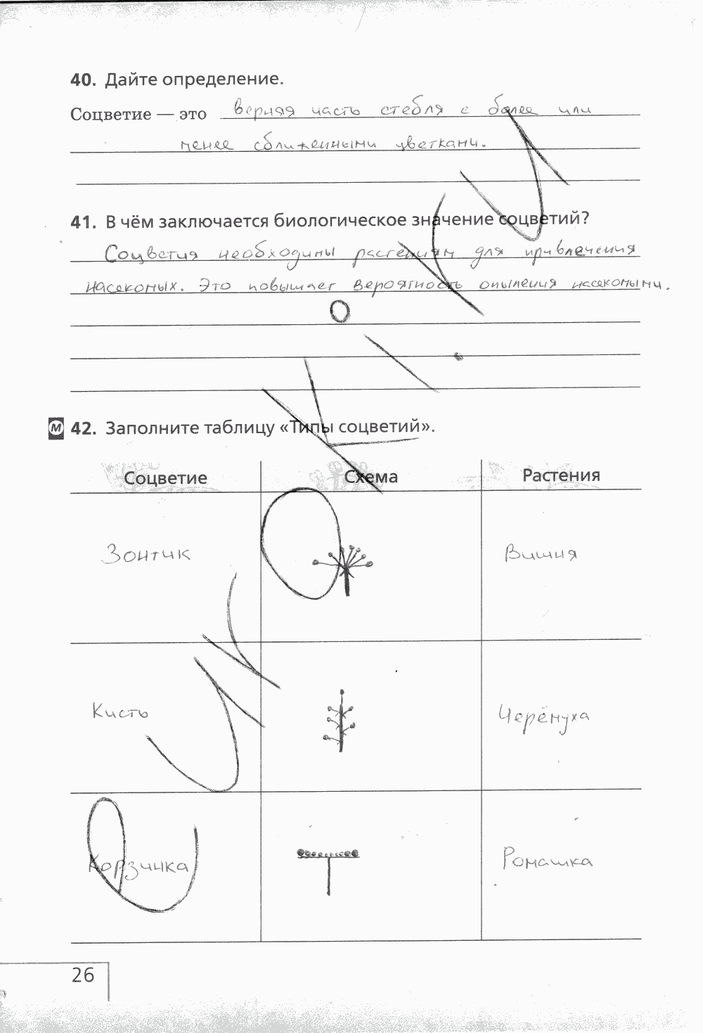 Рабочая тетрадь (с белочкой), 6 класс, Сонин Н.И., 2014, задание: стр. 26