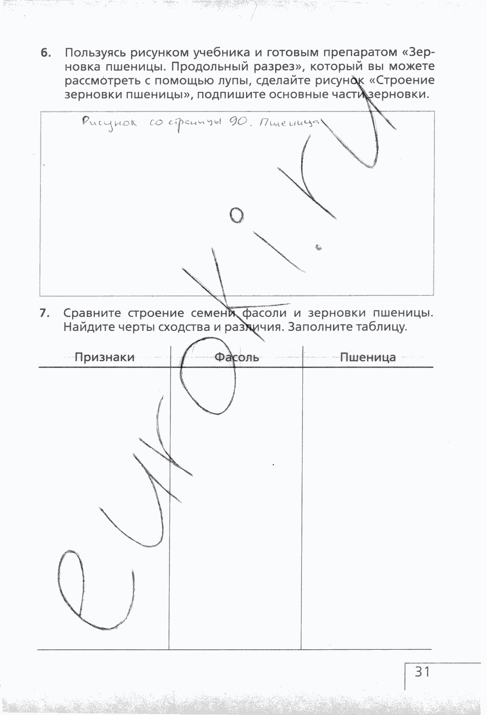 Рабочая тетрадь (с белочкой), 6 класс, Сонин Н.И., 2014, задание: стр. 31
