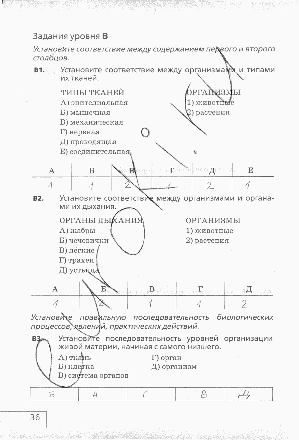 Рабочая тетрадь (с белочкой), 6 класс, Сонин Н.И., 2014, задание: стр. 36