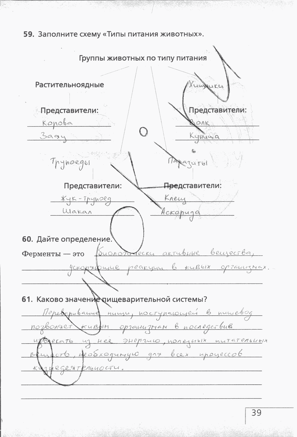 Рабочая тетрадь (с белочкой), 6 класс, Сонин Н.И., 2014, задание: стр. 39