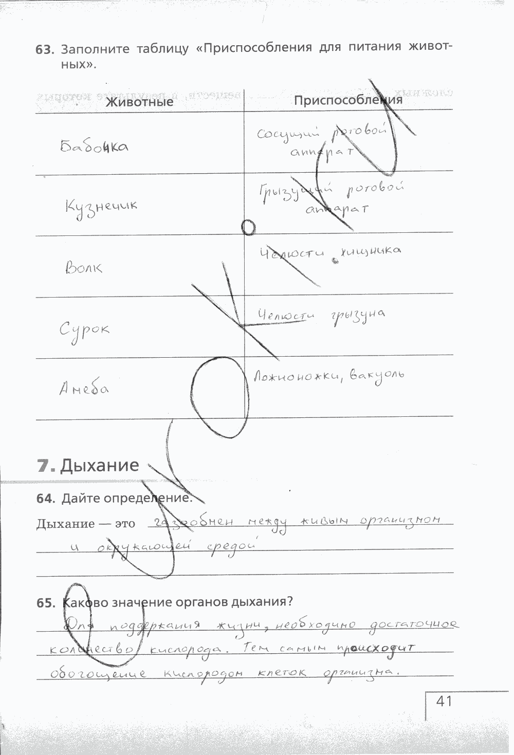 Рабочая тетрадь (с белочкой), 6 класс, Сонин Н.И., 2014, задание: стр. 41