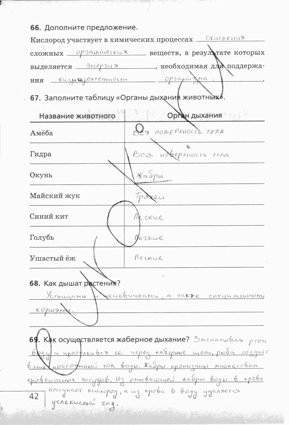Рабочая тетрадь (с белочкой), 6 класс, Сонин Н.И., 2014, задание: стр. 42