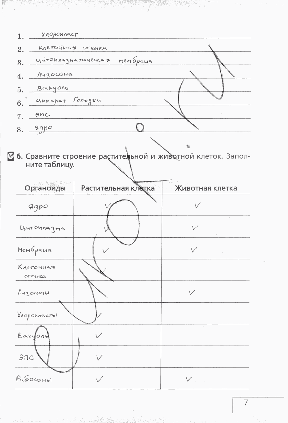 Рабочая тетрадь (с белочкой), 6 класс, Сонин Н.И., 2014, задание: стр. 7