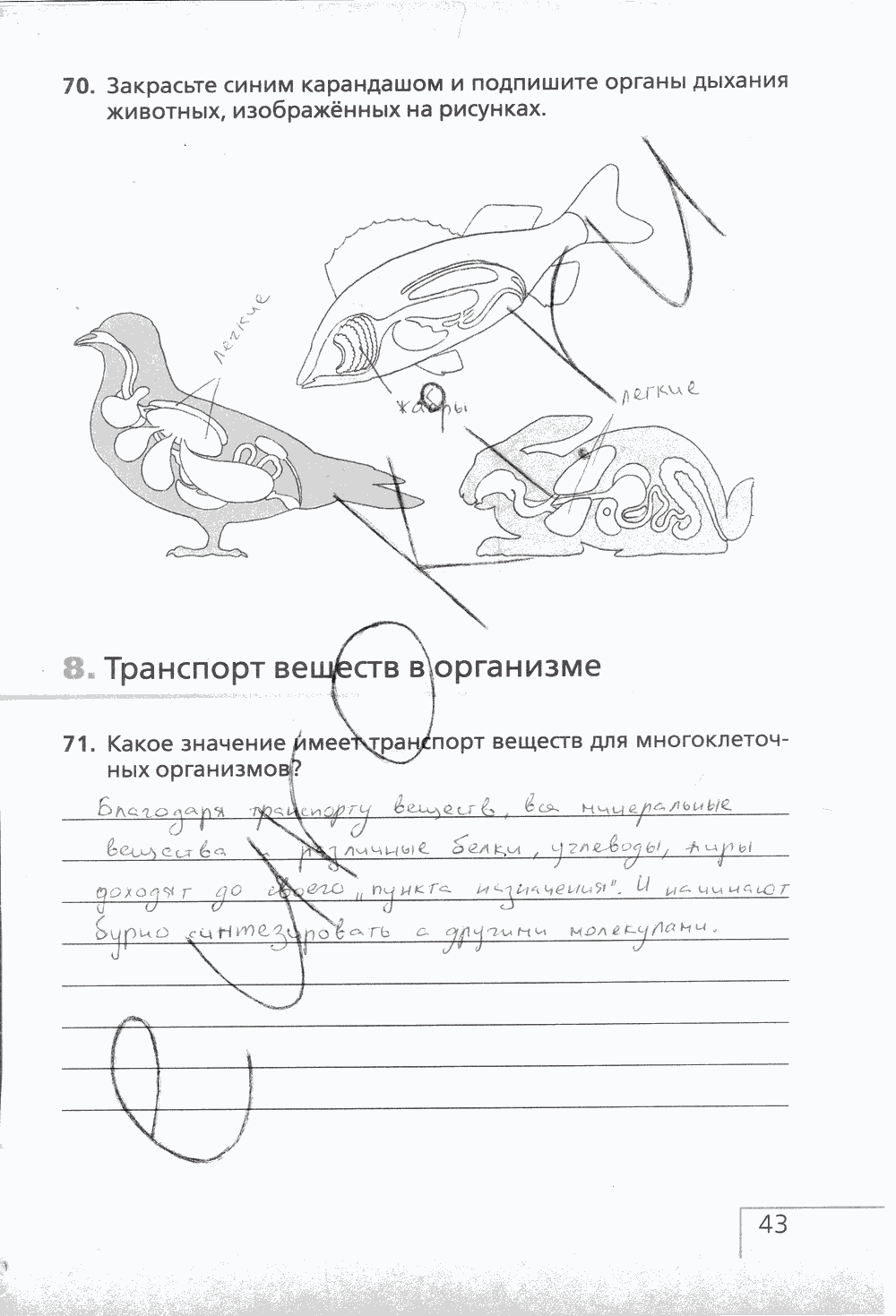 Рабочая тетрадь (с белочкой), 6 класс, Сонин Н.И., 2014, задание: стр. 43