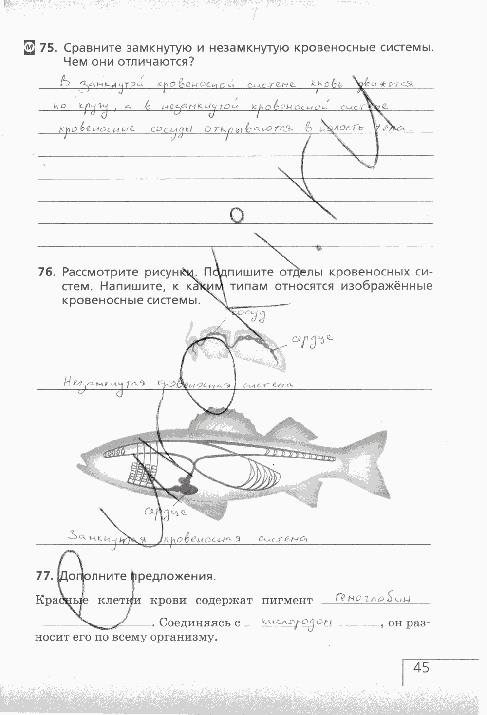 Рабочая тетрадь (с белочкой), 6 класс, Сонин Н.И., 2014, задание: стр. 45