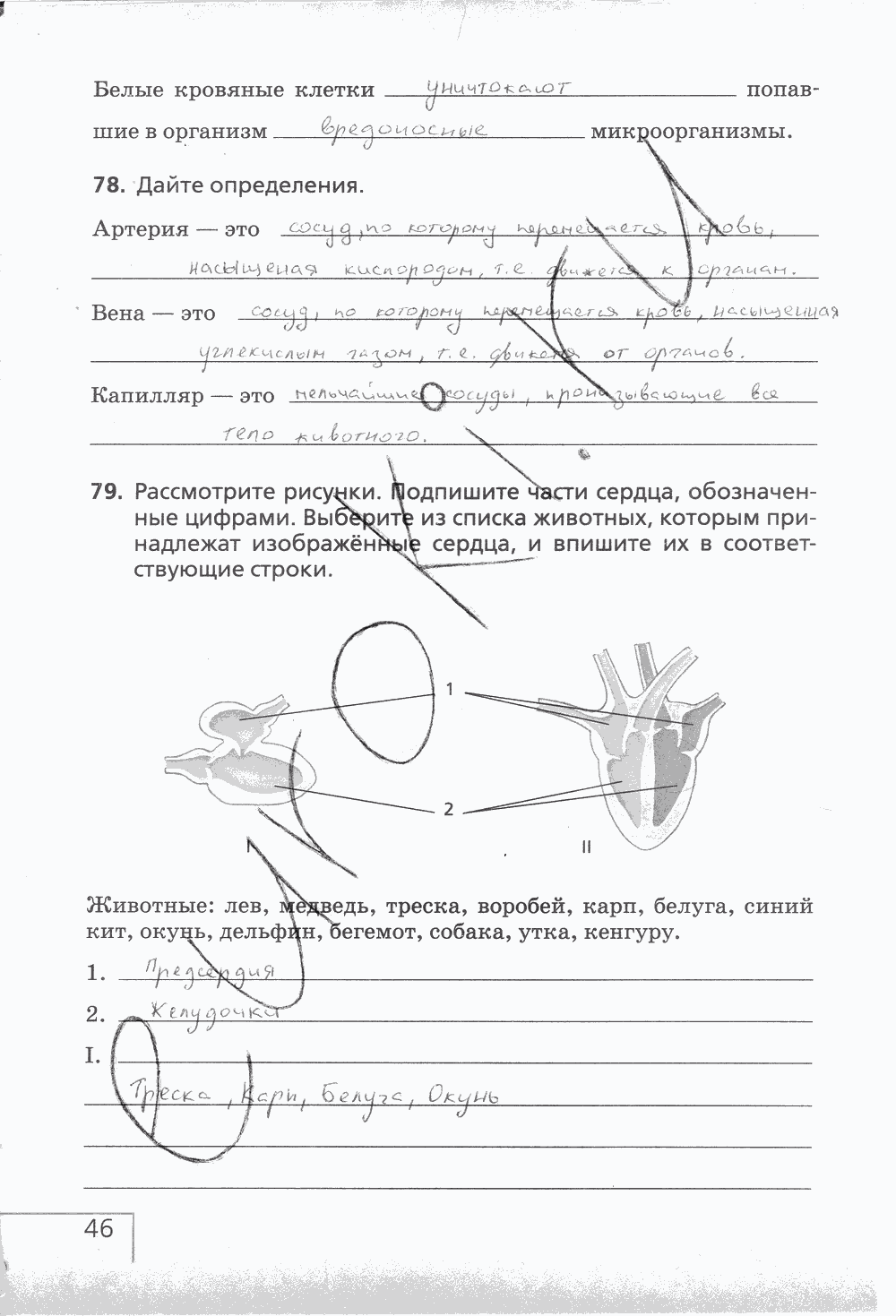 Рабочая тетрадь (с белочкой), 6 класс, Сонин Н.И., 2014, задание: стр. 46