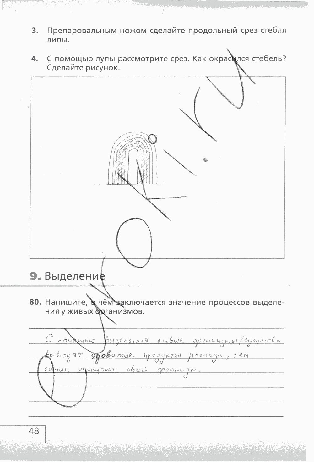 Рабочая тетрадь (с белочкой), 6 класс, Сонин Н.И., 2014, задание: стр. 48