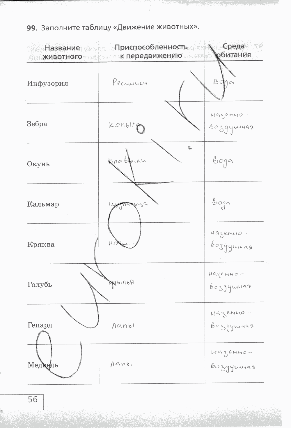 Рабочая тетрадь (с белочкой), 6 класс, Сонин Н.И., 2014, задание: стр. 56