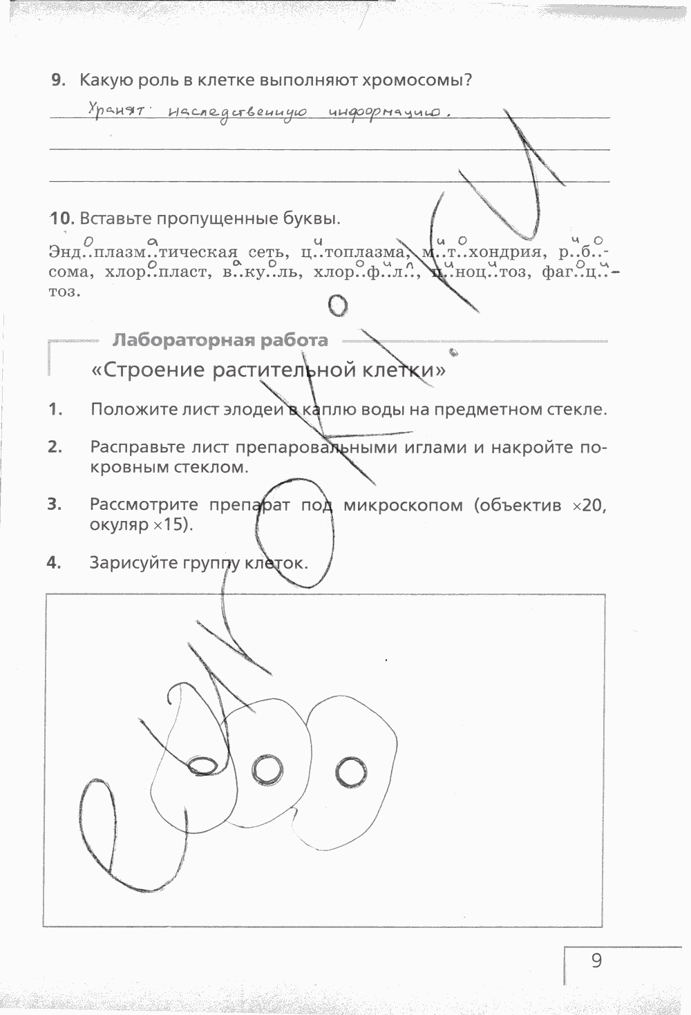 Рабочая тетрадь (с белочкой), 6 класс, Сонин Н.И., 2014, задание: стр. 9