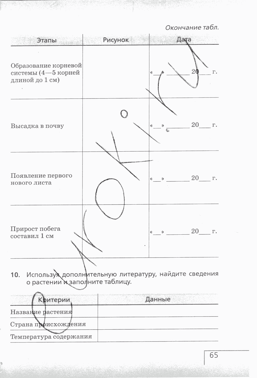 Рабочая тетрадь (с белочкой), 6 класс, Сонин Н.И., 2014, задание: стр. 65