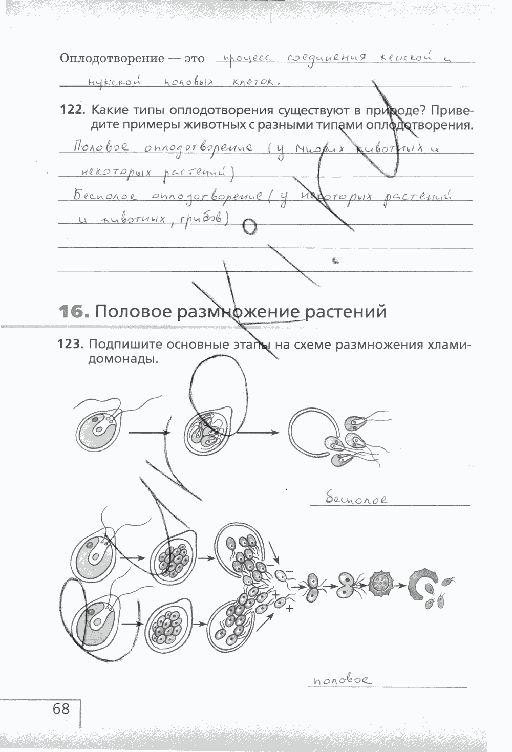 Рабочая тетрадь (с белочкой), 6 класс, Сонин Н.И., 2014, задание: стр. 68