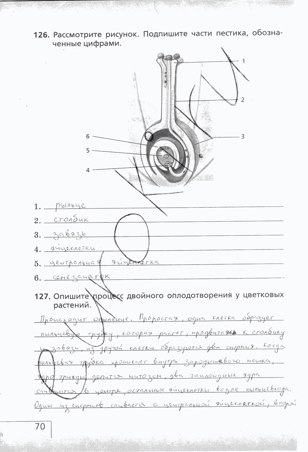 Рабочая тетрадь (с белочкой), 6 класс, Сонин Н.И., 2014, задание: стр. 70