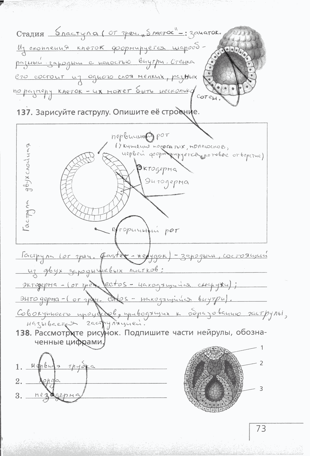 Рабочая тетрадь (с белочкой), 6 класс, Сонин Н.И., 2014, задание: стр. 73