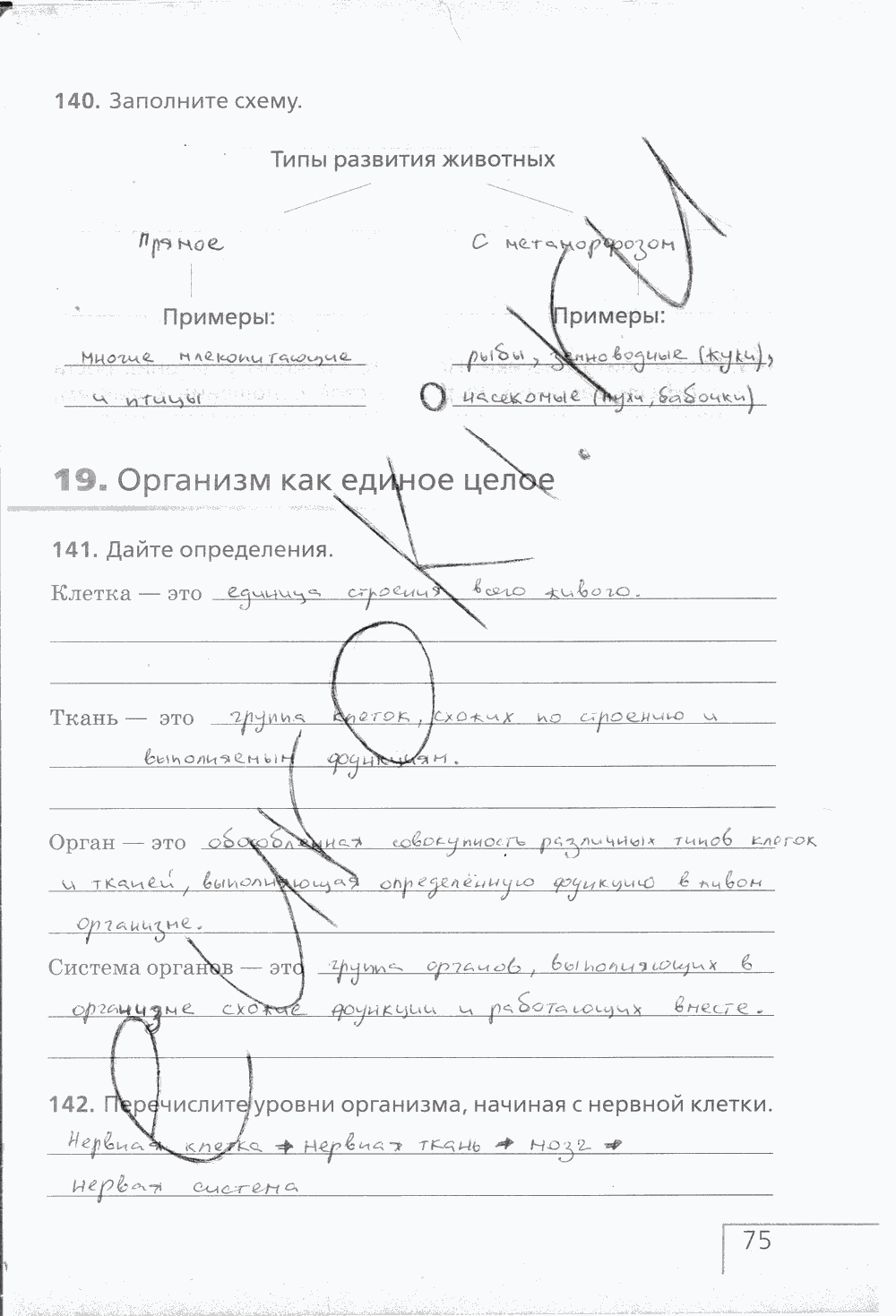 Рабочая тетрадь (с белочкой), 6 класс, Сонин Н.И., 2014, задание: стр. 75