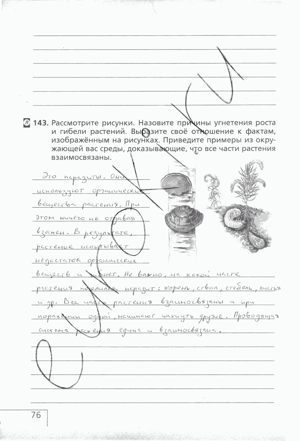 Рабочая тетрадь (с белочкой), 6 класс, Сонин Н.И., 2014, задание: стр. 76