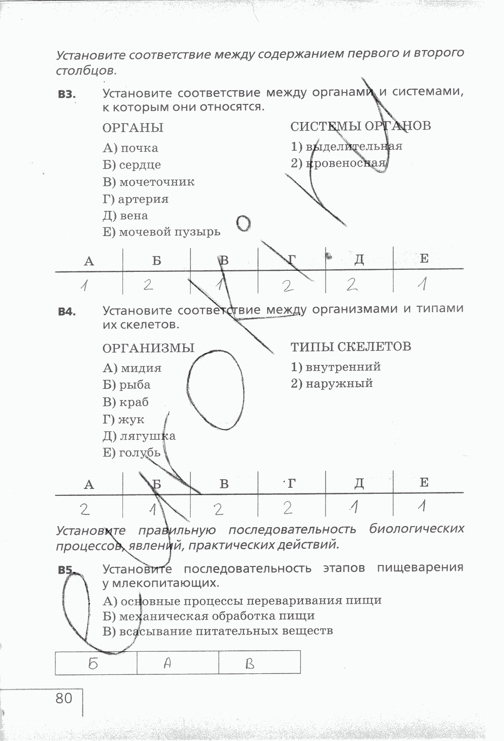 Рабочая тетрадь (с белочкой), 6 класс, Сонин Н.И., 2014, задание: стр. 80
