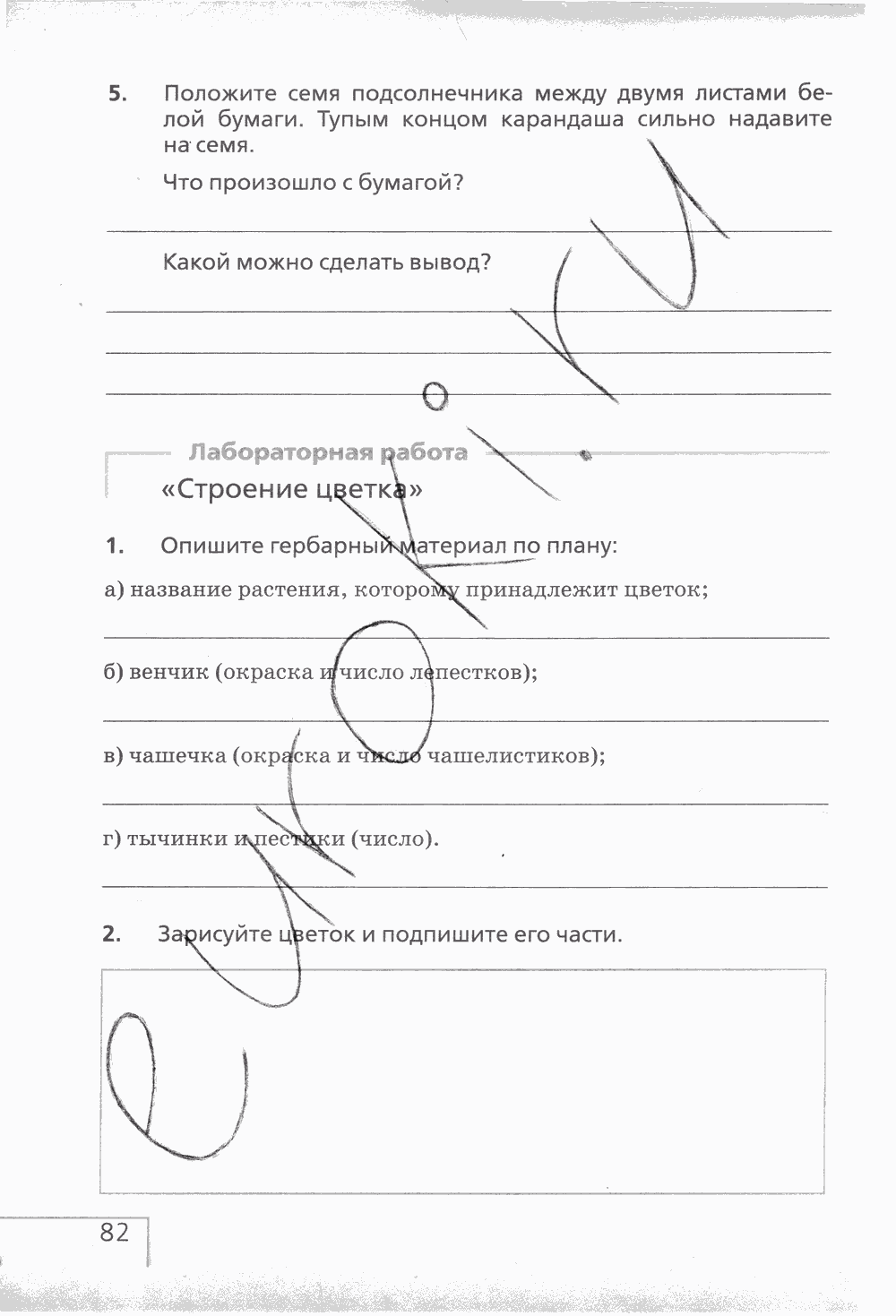 Рабочая тетрадь (с белочкой), 6 класс, Сонин Н.И., 2014, задание: стр. 82