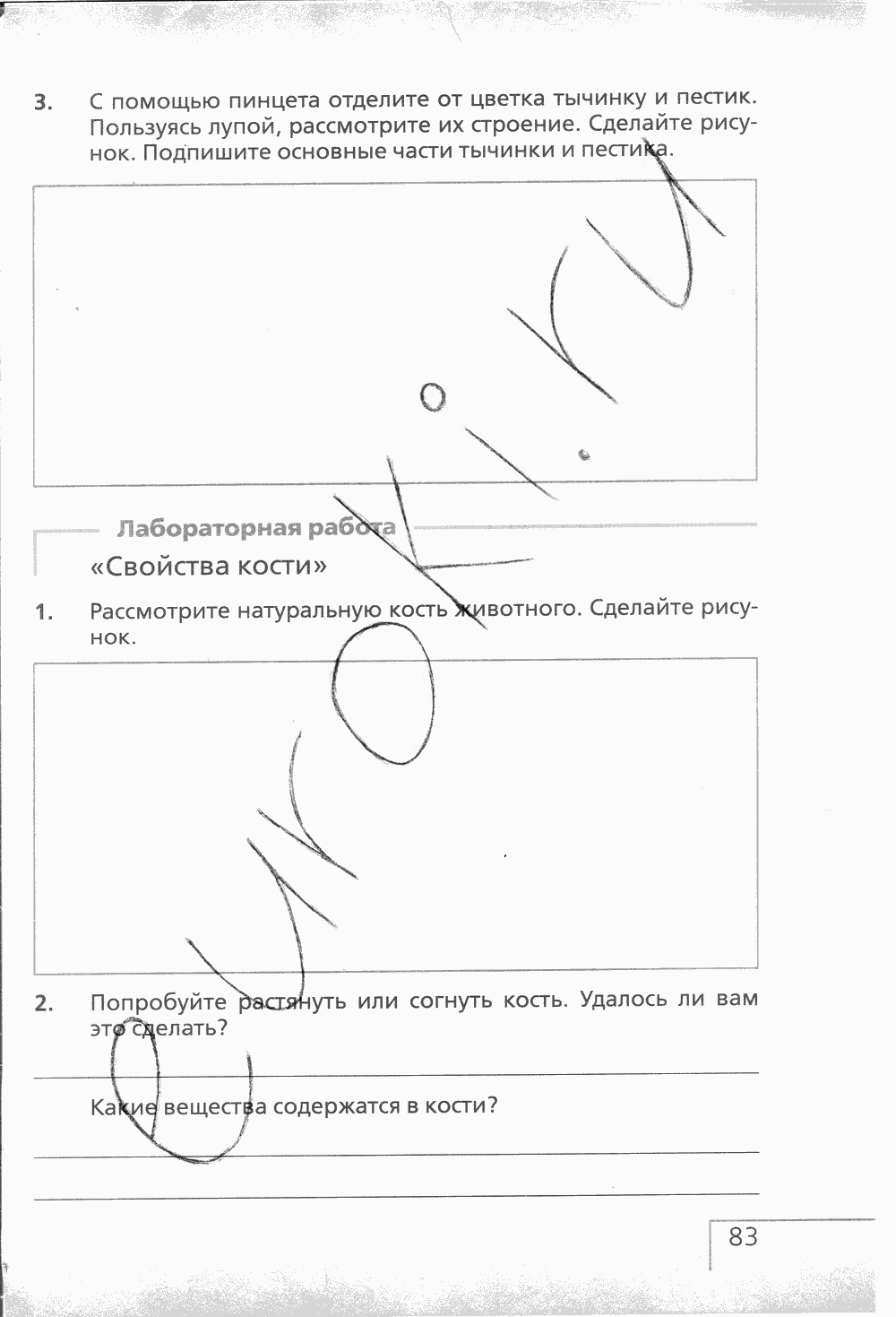 Рабочая тетрадь (с белочкой), 6 класс, Сонин Н.И., 2014, задание: стр. 83