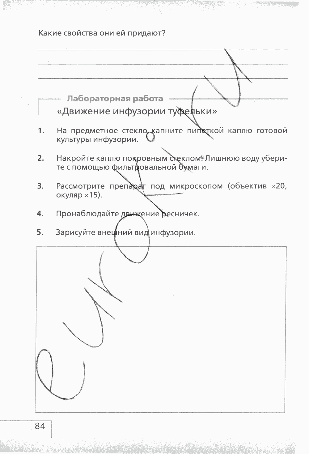 Рабочая тетрадь (с белочкой), 6 класс, Сонин Н.И., 2014, задание: стр. 84