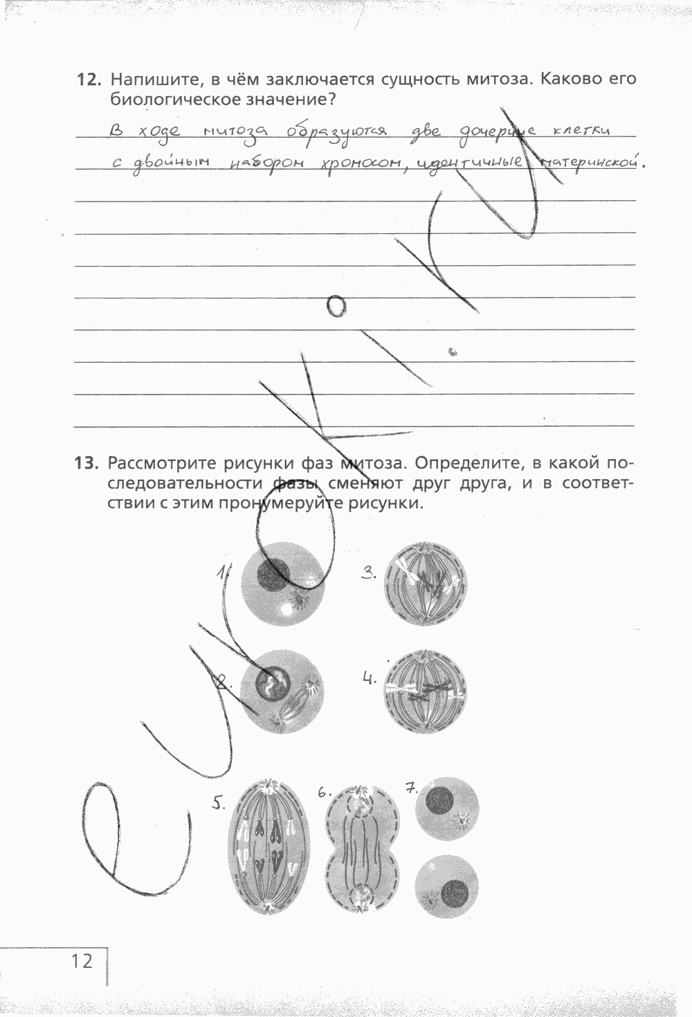Рабочая тетрадь (с белочкой), 6 класс, Сонин Н.И., 2014, задание: стр. 12
