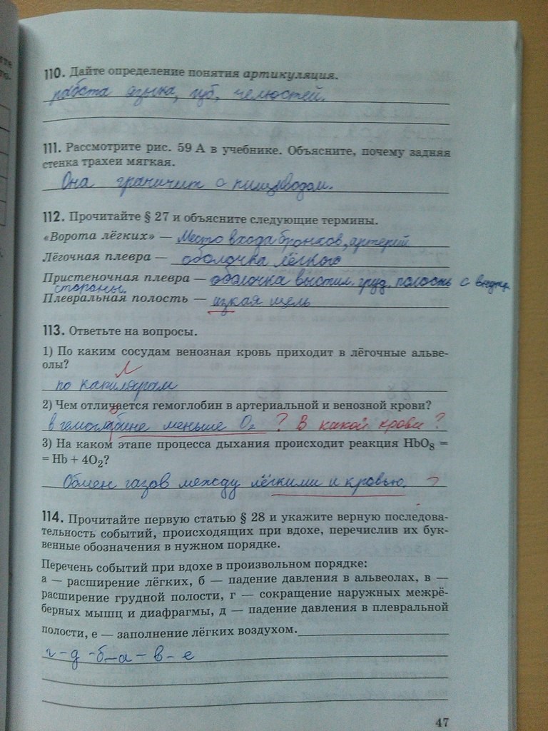 Рабочая тетрадь (с пчелой), 6 класс, Сонин Н.И., 2013-2015, задание: стр. 47