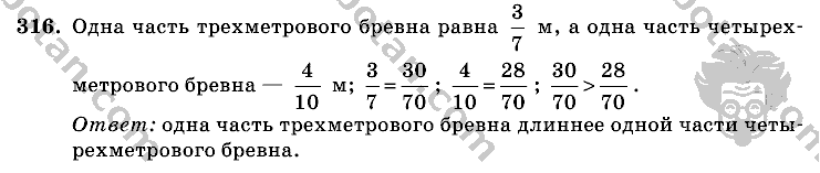 Математика, 6 класс, Виленкин, Жохов, 2004 - 2010, задание: 316