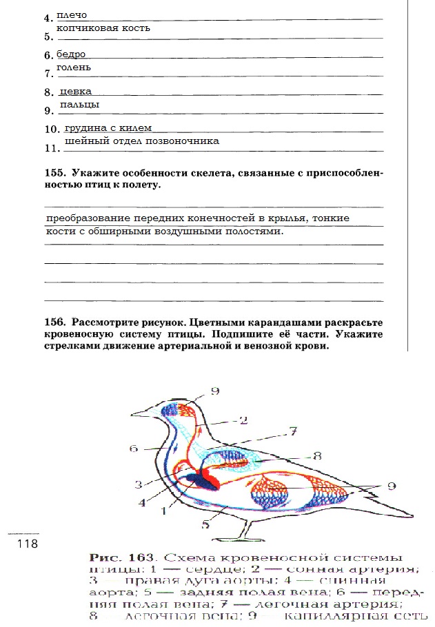 Рабочая тетрадь, 7 класс, Захаров В.Б., Сонин Н.И., 2015, задание: стр. 118