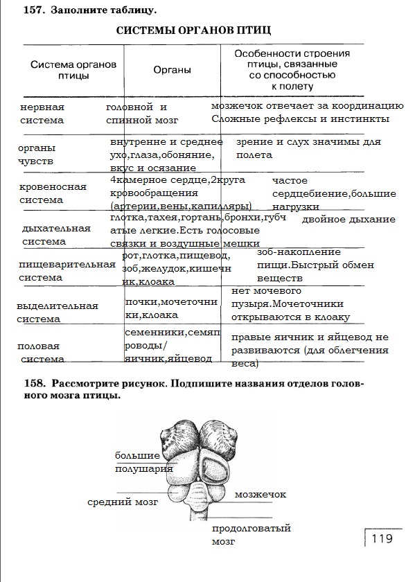 Рабочая тетрадь, 7 класс, Захаров В.Б., Сонин Н.И., 2015, задание: стр. 119