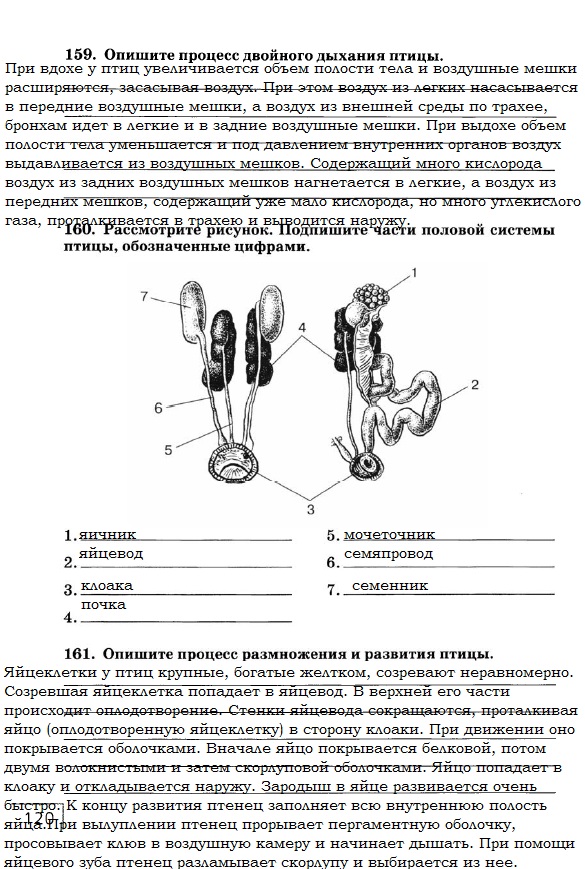 Рабочая тетрадь, 7 класс, Захаров В.Б., Сонин Н.И., 2015, задание: стр. 120