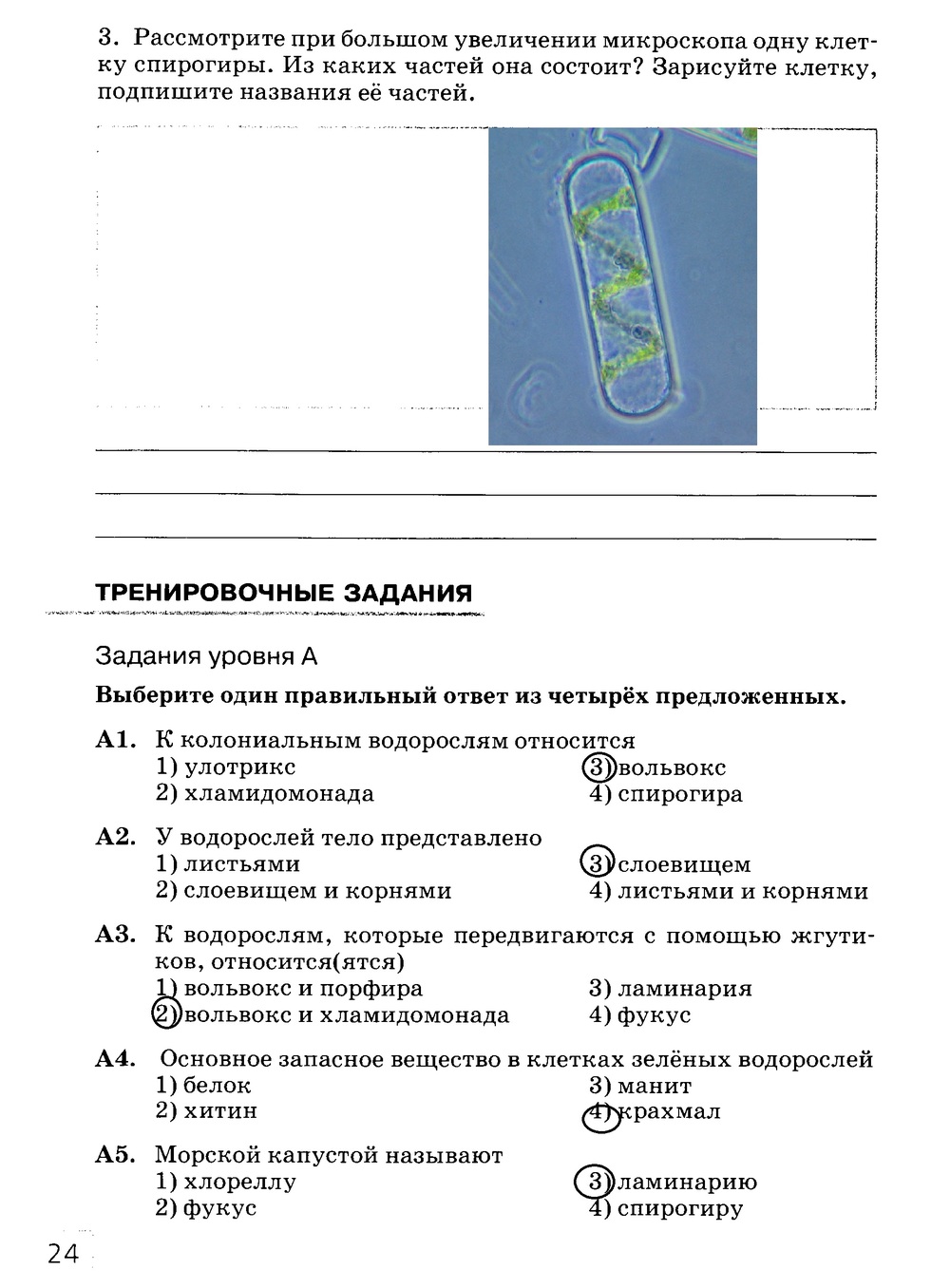 Рабочая тетрадь, 7 класс, Захаров В.Б., Сонин Н.И., 2015, задание: стр. 24