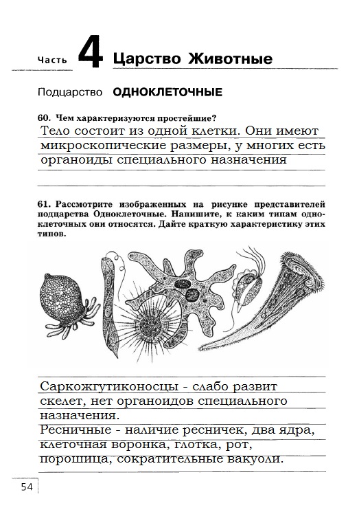 Рабочая тетрадь, 7 класс, Захаров В.Б., Сонин Н.И., 2015, задание: стр. 54
