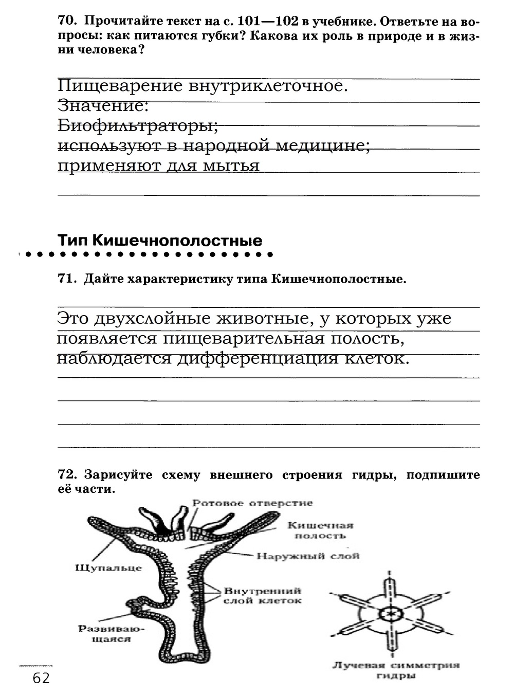 Рабочая тетрадь, 7 класс, Захаров В.Б., Сонин Н.И., 2015, задание: стр. 62
