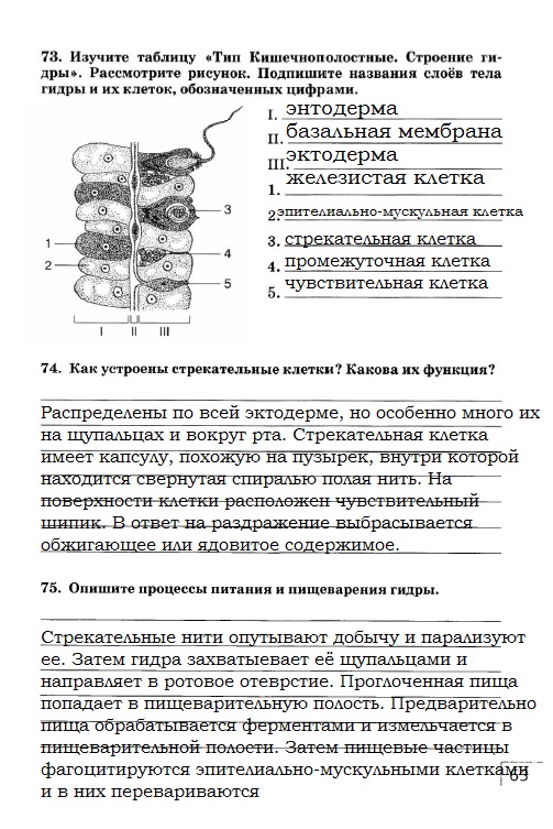 Рабочая тетрадь, 7 класс, Захаров В.Б., Сонин Н.И., 2015, задание: стр. 63