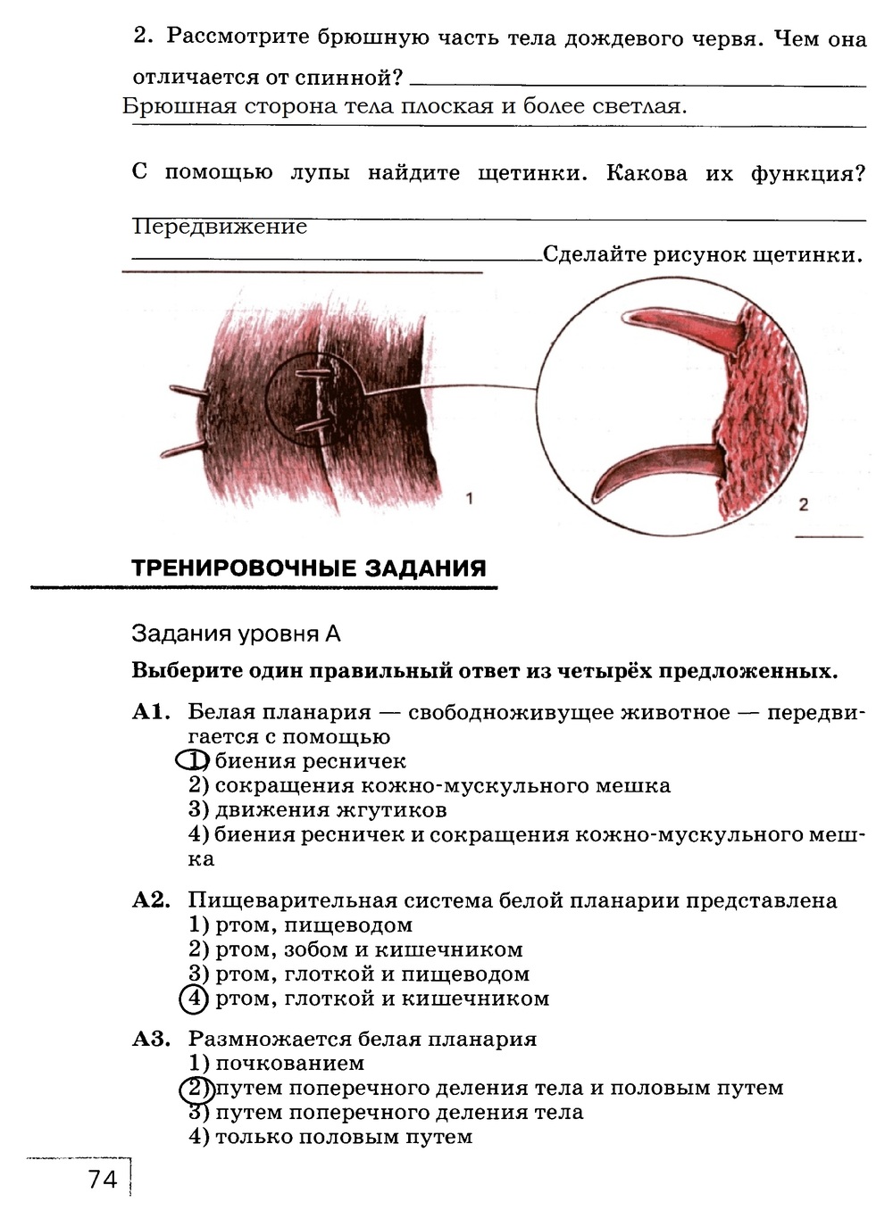 Рабочая тетрадь, 7 класс, Захаров В.Б., Сонин Н.И., 2015, задание: стр. 74