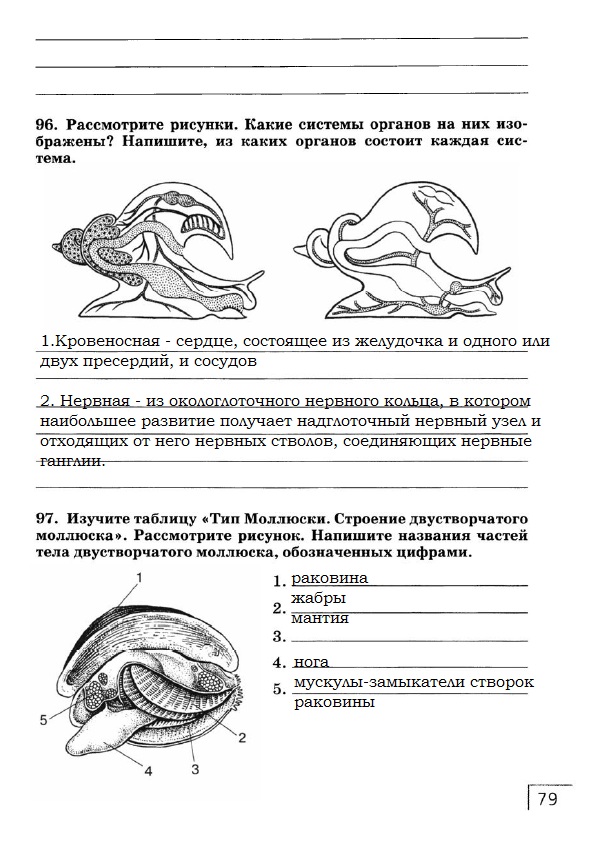 Рабочая тетрадь, 7 класс, Захаров В.Б., Сонин Н.И., 2015, задание: стр. 79
