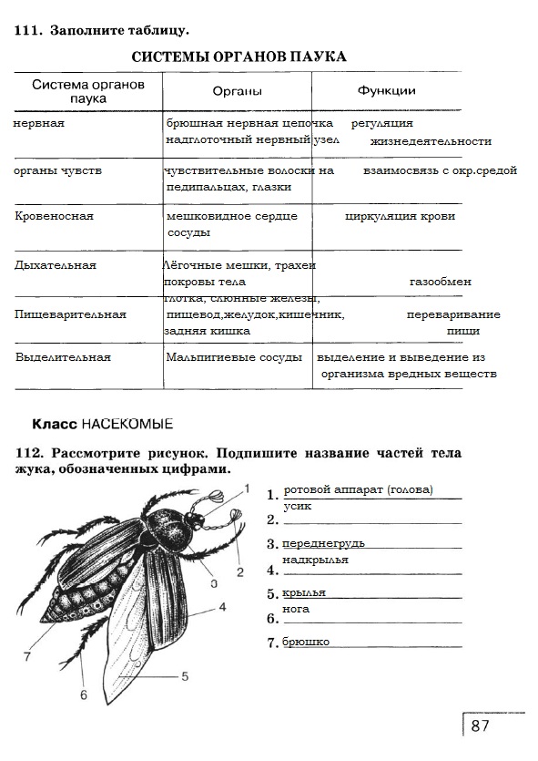 Рабочая тетрадь, 7 класс, Захаров В.Б., Сонин Н.И., 2015, задание: стр. 87