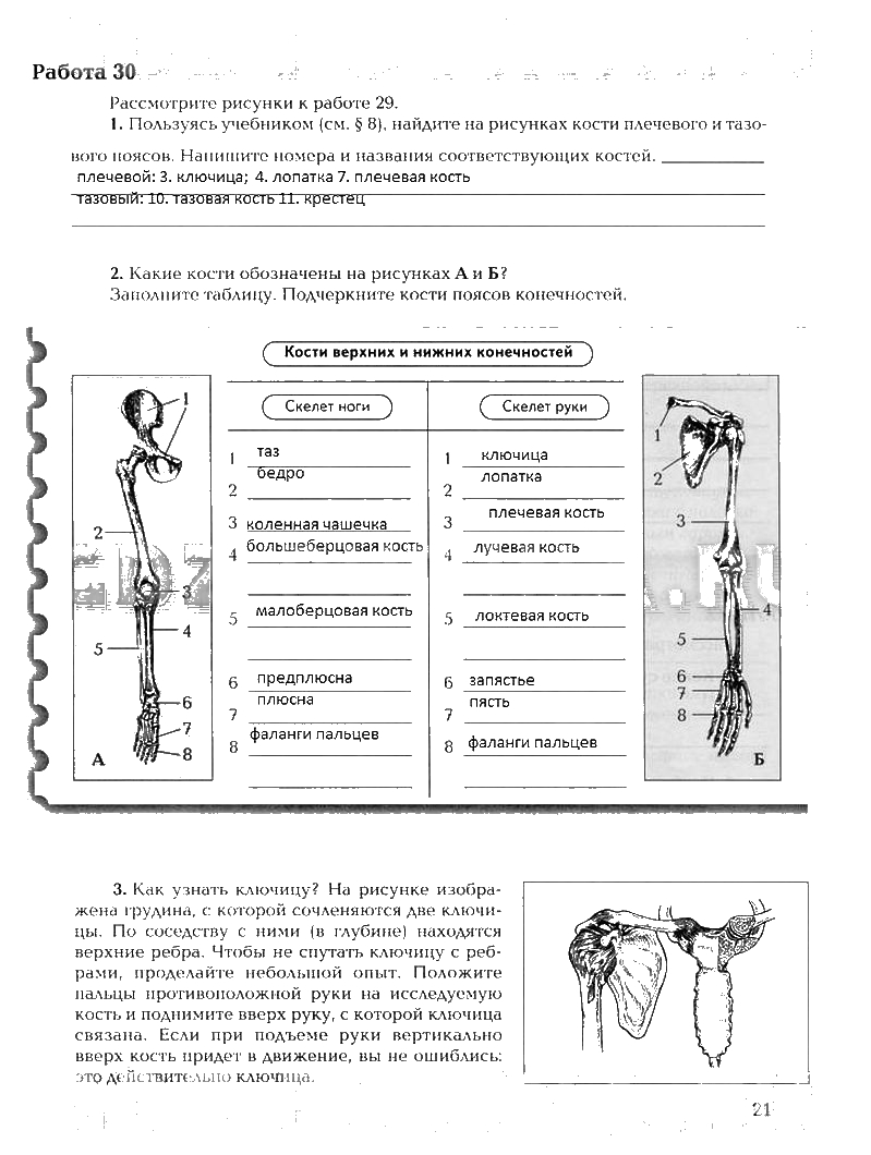 Рабочая тетрадь, 8 класс, Драгомилов, Маш, 2007 - 2016, Часть 1 Задание: 21
