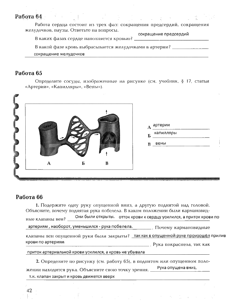 Рабочая тетрадь, 8 класс, Драгомилов, Маш, 2007 - 2016, Часть 1 Задание: 42