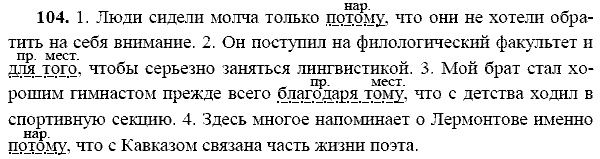 Русский язык, 9 класс, Тростенцова Л.А. Ладыженская Т.А., 2013 - 2015, задание: 104