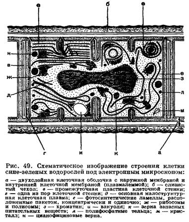 Комплексный физико-гоеграфическая характеристика Ундоровского палеонтологического заказника
