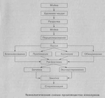 Реферат: Проект линии по производству кеты чанового охлажденного посола