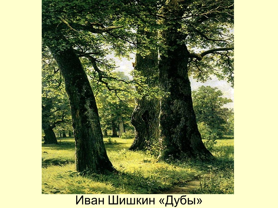 Роль леса в художественном сознании русского народа в экономике и культуре России