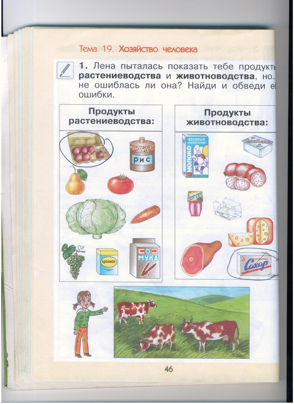 Рабочая тетрадь, 1 класс, А.А. Вахрушев, О.В. Бурский, А.С. Раутиан, 2012, задание: стр. 46