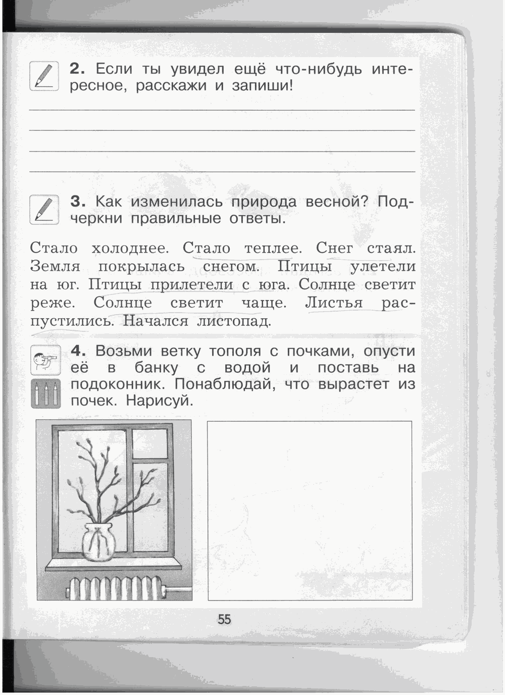 Рабочая тетрадь, 1 класс, А.А. Вахрушев, О.В. Бурский, А.С. Раутиан, 2012, задание: стр. 55