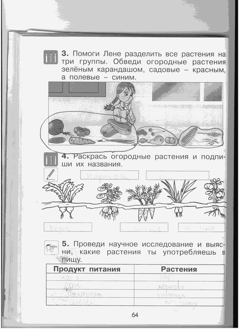 Рабочая тетрадь, 1 класс, А.А. Вахрушев, О.В. Бурский, А.С. Раутиан, 2012, задание: стр. 64