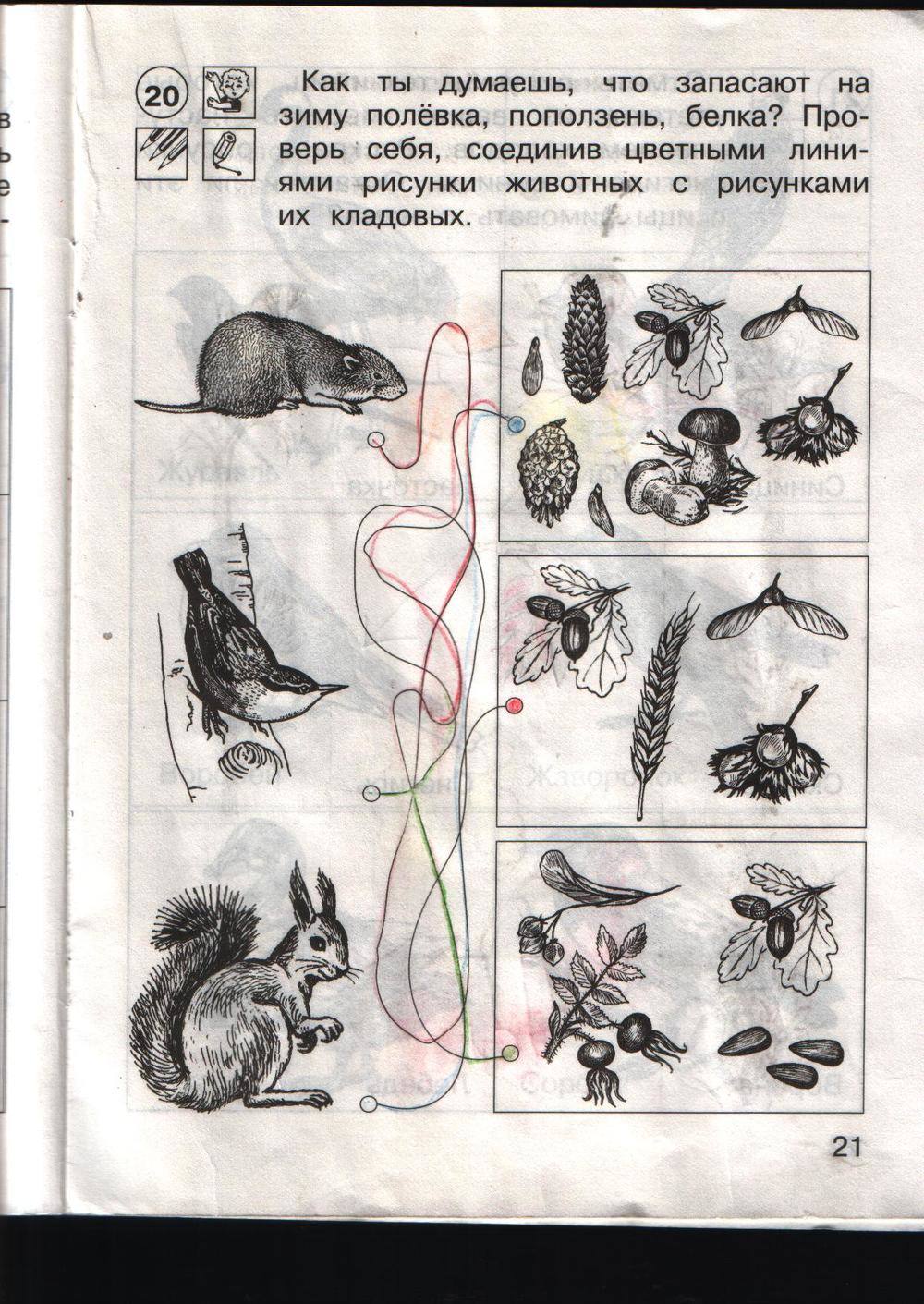 Рабочая тетрадь, 1 класс, Трафимов С.А., Трафимова Г.В., Федотова О.Н., 2014, задание: стр. 21