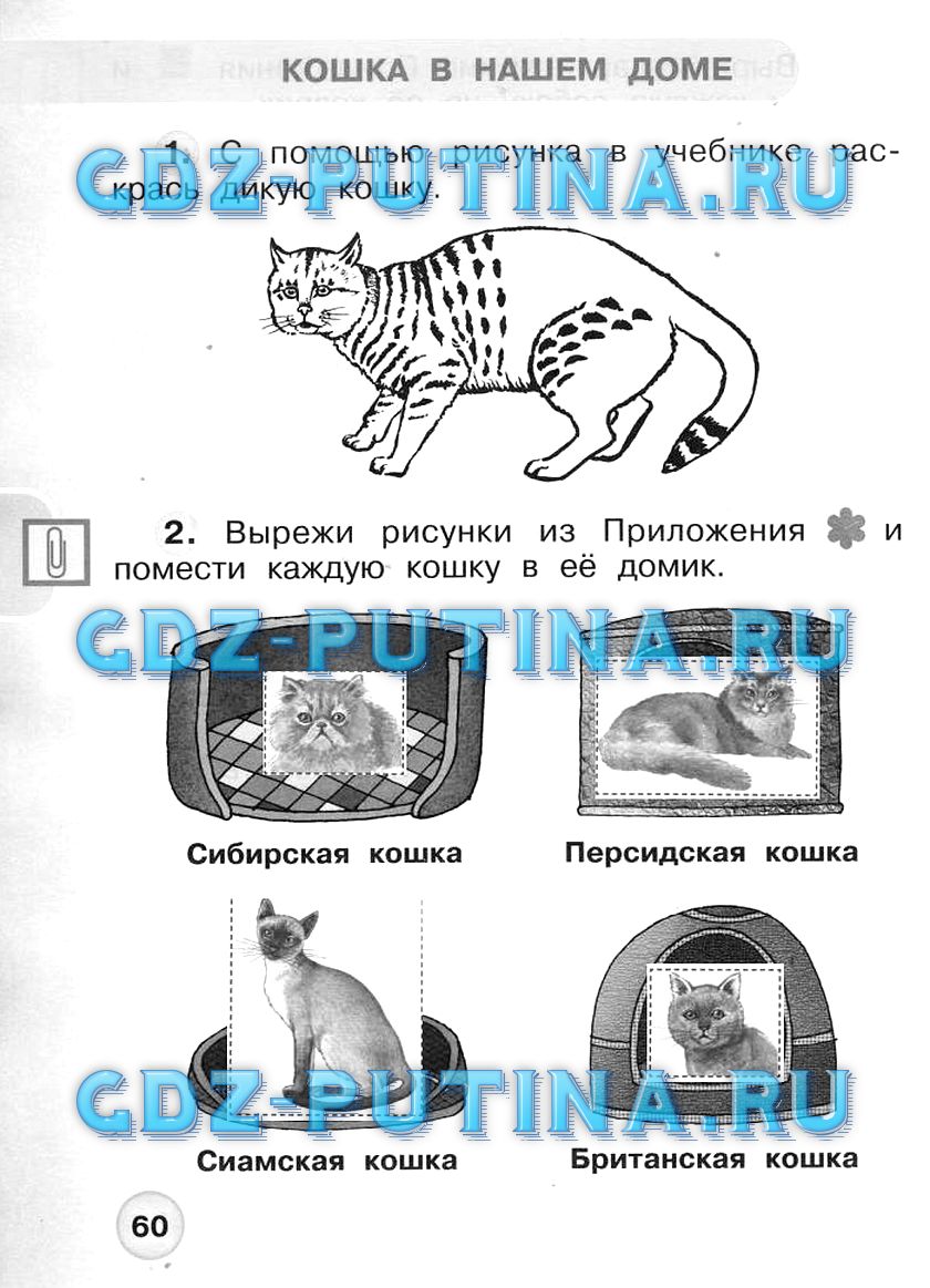 Окружающий страница 60 61. Вырежи рисунки из приложения. 1 Класс окружающий мир рабочая тетрадь про кошку. Окружающий мир рабочая тетрадь Плешаков Новицкая 1 класс 1 часть стр 60. Окружающий мир 1 класс рабочая тетрадь страница 60.