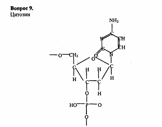 Химия, 10 класс, Цветков, 2008-2013, § 45. Нуклеиновые кислоты Задача: 9