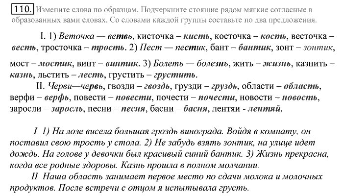 Русский язык, 10 класс, Греков, Крючков, Чешко, 2002-2011, задание: 110