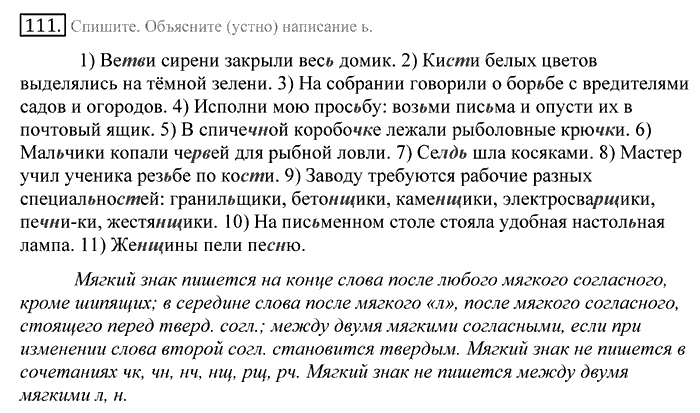 Русский язык, 10 класс, Греков, Крючков, Чешко, 2002-2011, задание: 111